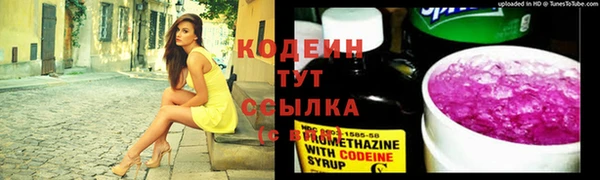 крисы Карпинск