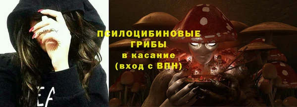 мескалин Касимов