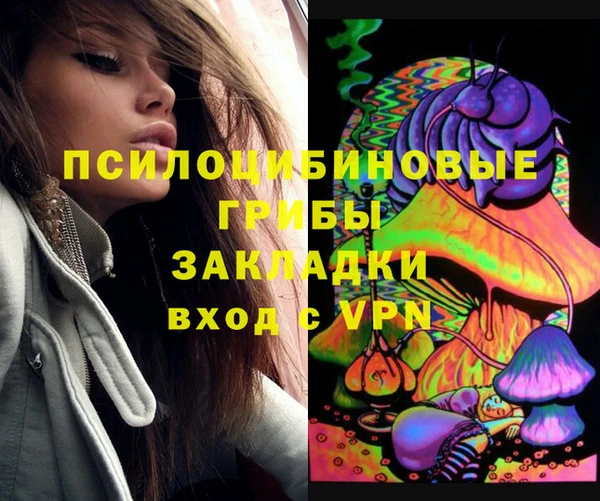 крисы Карпинск
