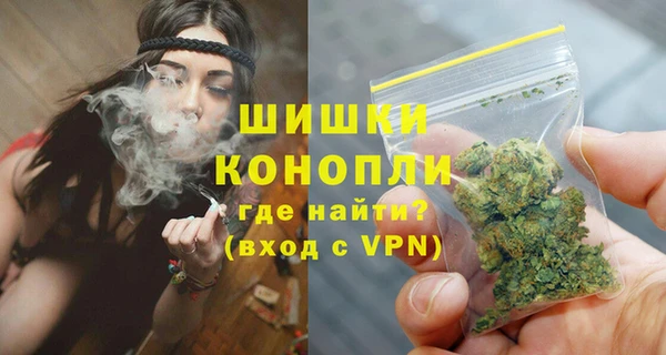 крисы Карпинск
