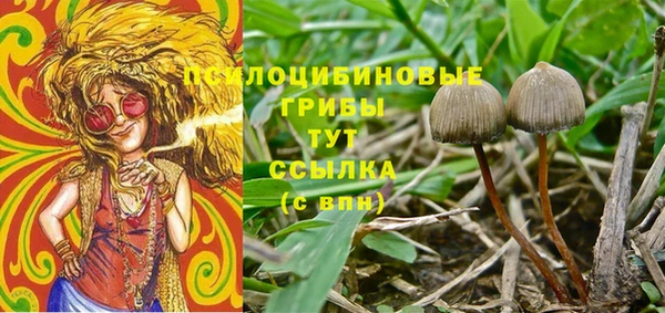 мескалин Касимов