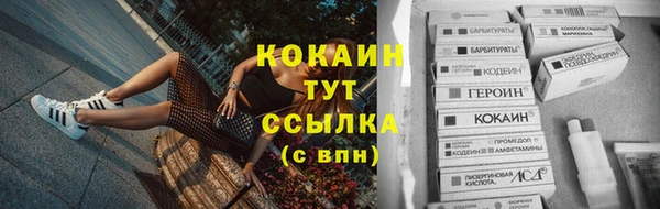 крисы Карпинск